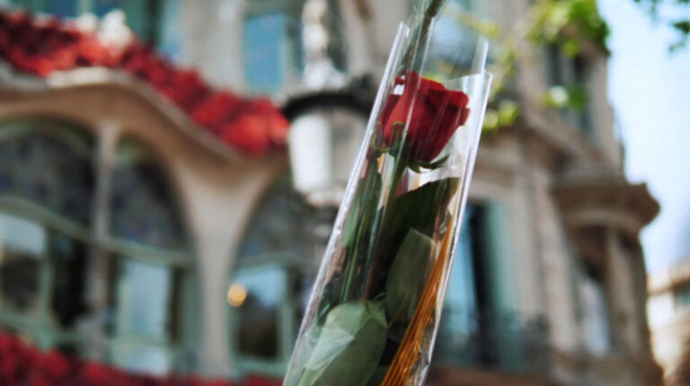 The Roses of Sant Jordi
