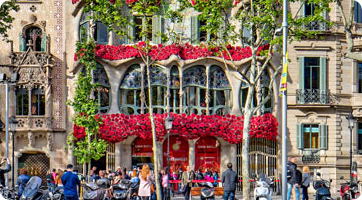 Rosas de Sant Jordi na fachada