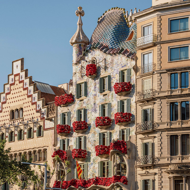 Sant Jordi 2026: más libros que nunca
